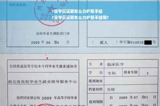 ?没学历证明怎么办护照手续
?没学历证明怎么办护照手续呢?