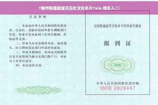 ?梅州有哪些城市历史文化名片?xie 姓名人⚡️