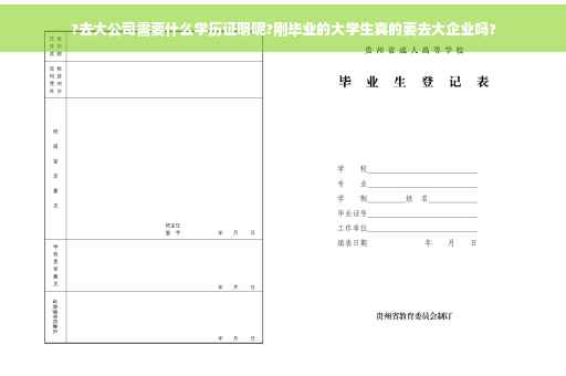 ?去大公司需要什么学历证明呢?刚毕业的大学生真的要去大企业吗?