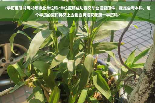 ?学历证明书可以考事业单位吗?单位应聘成功要交毕业证复印件，我是自考本科，这个学历的复印件交上去他会再追究我第一学历吗?