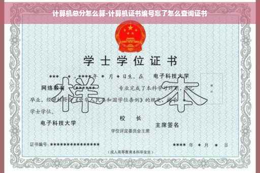 计算机总分怎么算-计算机证书编号忘了怎么查询证书