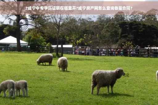 ?咸宁中专学历证明在哪里开?咸宁房产网怎么查询备案合同?