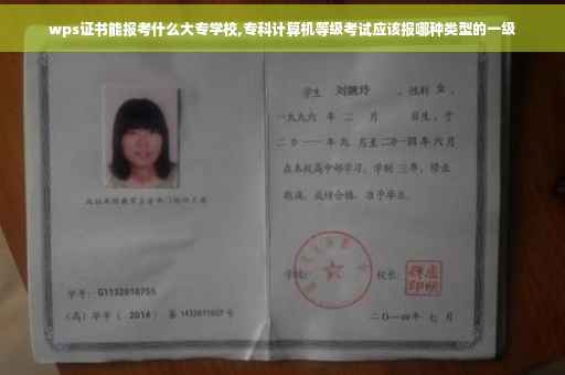 wps证书能报考什么大专学校,专科计算机等级考试应该报哪种类型的一级
