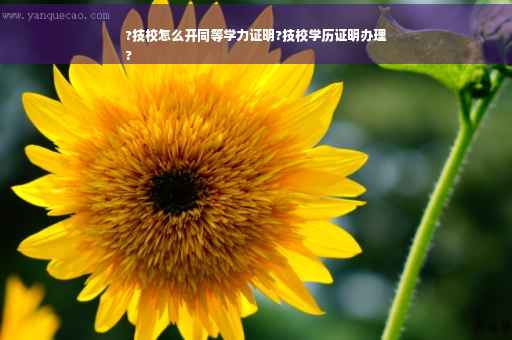 ?技校怎么开同等学力证明?技校学历证明办理
?