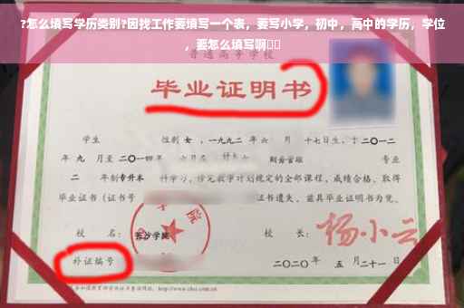 ?怎么填写学历类别?因找工作要填写一个表，要写小学，初中，高中的学历，学位，要怎么填写啊⚡️