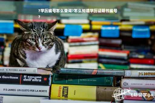 ?学历编号怎么查询?怎么知道学历证明书编号
?