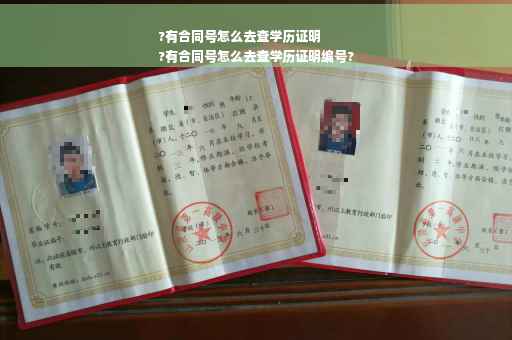 ?有合同号怎么去查学历证明
?有合同号怎么去查学历证明编号?