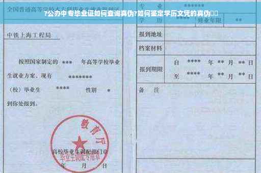 ?公办中专毕业证如何查询真伪?如何鉴定学历文凭的真伪⚡️