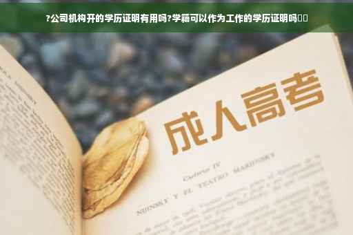 ?公司机构开的学历证明有用吗?学籍可以作为工作的学历证明吗⚡️