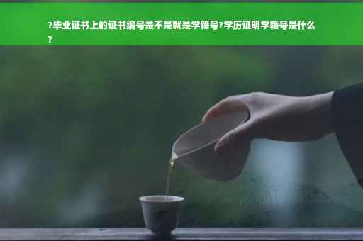 ?毕业证书上的证书编号是不是就是学籍号?学历证明学籍号是什么
?