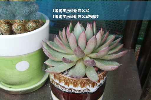 ?考试学历证明怎么写
?考试学历证明怎么写模板?
