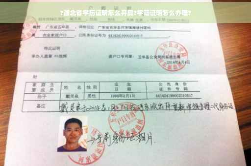 ?湖北省学历证明怎么开具?学籍证明怎么办理?