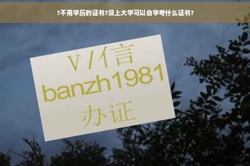 ?不用学历的证书?没上大学可以自学考什么证书?