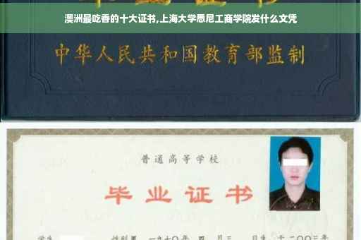 澳洲最吃香的十大证书,上海大学悉尼工商学院发什么文凭