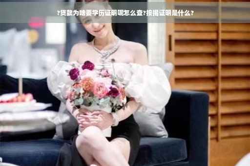 ?贷款为啥要学历证明呢怎么查?按揭证明是什么?