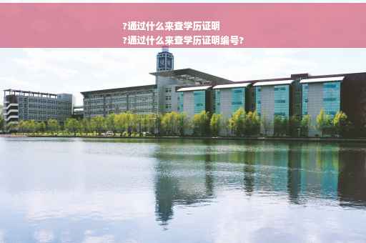 ?通过什么来查学历证明
?通过什么来查学历证明编号?