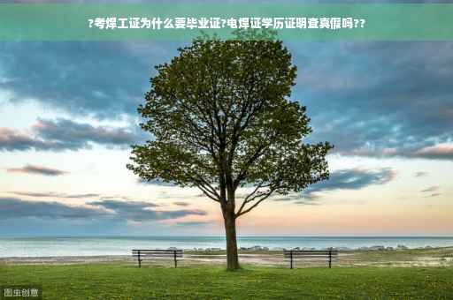 ?考焊工证为什么要毕业证?电焊证学历证明查真假吗??