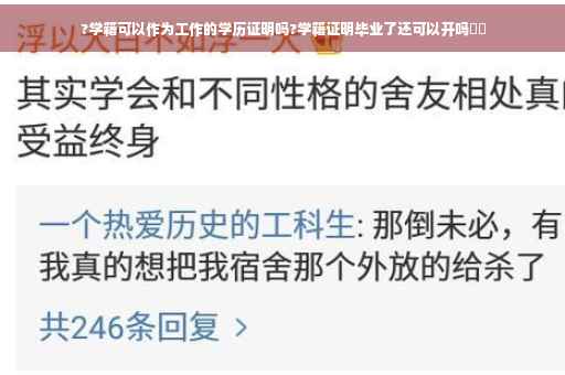 ?学籍可以作为工作的学历证明吗?学籍证明毕业了还可以开吗⚡️