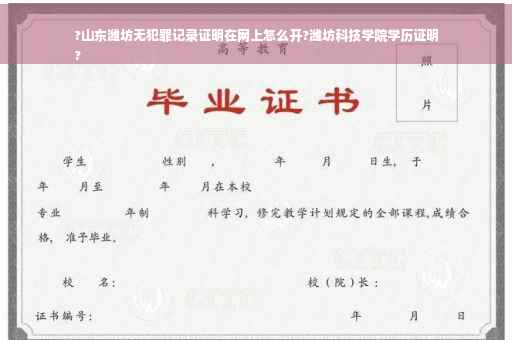 ?山东潍坊无犯罪记录证明在网上怎么开?潍坊科技学院学历证明
?