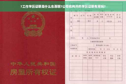 ?工作学历证明是什么东西啊?公司机构开的学历证明有用吗?