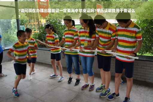 ?请问现在办理出国签证一定要高中毕业证吗?学历证明能用于签证么
?