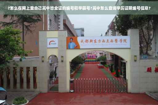 ?怎么在网上查自己高中毕业证的编号和学籍号?高中怎么查询学历证明编号信息?
