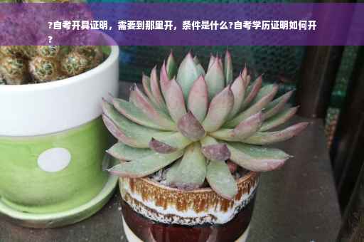 ?自考开具证明，需要到那里开，条件是什么?自考学历证明如何开
?