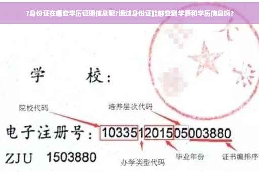?身份证在哪查学历证明信息呢?通过身份证能够查到学籍和学历信息吗?