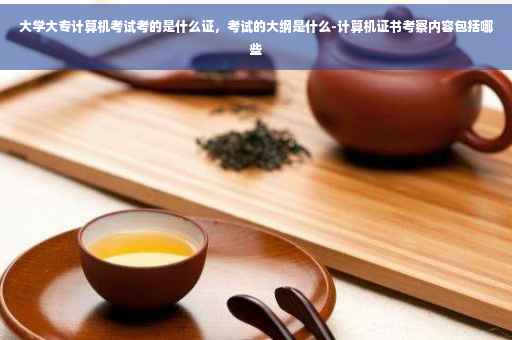 大学大专计算机考试考的是什么证，考试的大纲是什么-计算机证书考察内容包括哪些