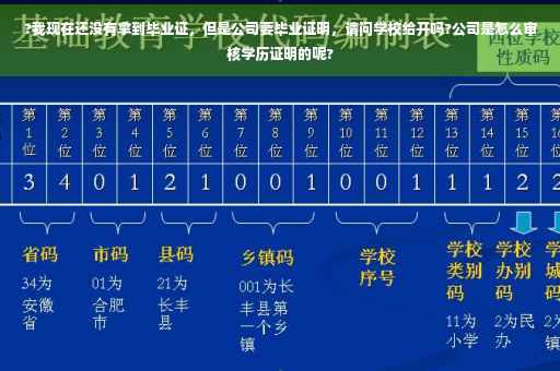 ?我现在还没有拿到毕业证，但是公司要毕业证明，请问学校给开吗?公司是怎么审核学历证明的呢?