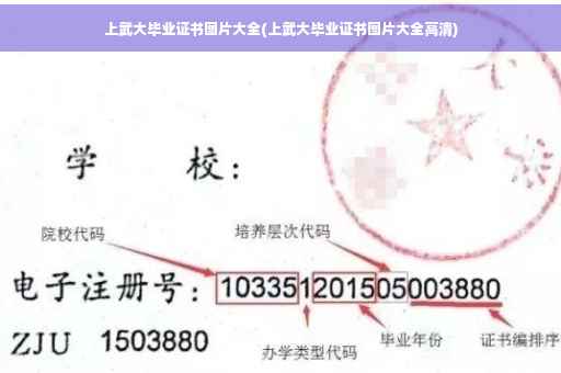 上武大毕业证书图片大全(上武大毕业证书图片大全高清)