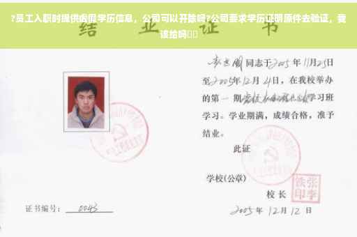 ?员工入职时提供虚假学历信息，公司可以开除吗?公司要求学历证明原件去验证，我该给吗⚡️