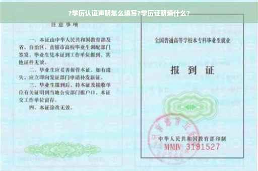 ?学历认证声明怎么填写?学历证明填什么?