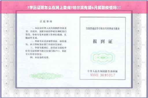 ?学历证明怎么在网上查询?哈尔滨有望6月解除疫情吗⚡️