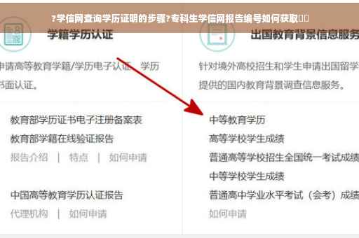?学信网查询学历证明的步骤?专科生学信网报告编号如何获取⚡️