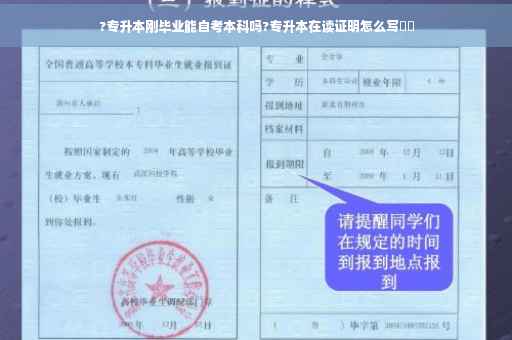 ?专升本刚毕业能自考本科吗?专升本在读证明怎么写⚡️