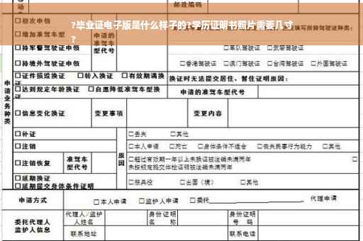 ?毕业证电子版是什么样子的?学历证明书照片需要几寸
?