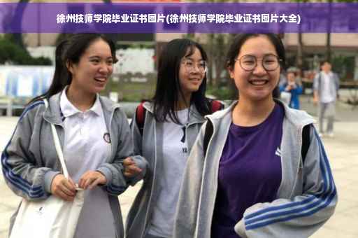 徐州技师学院毕业证书图片(徐州技师学院毕业证书图片大全)
