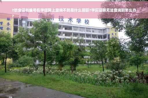 ?毕业证书编号在学信网上查询不到是什么原因?学历证明无法查询到怎么办
?