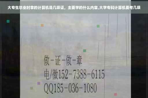 大专生毕业时拿的计算机是几级证，主要学的什么内容,大学专科计算机要考几级