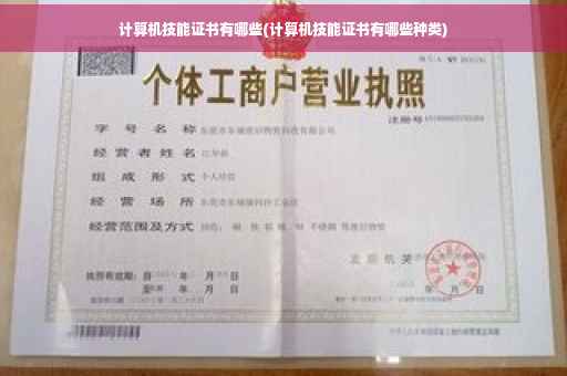 计算机技能证书有哪些(计算机技能证书有哪些种类)