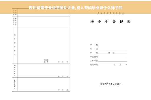 四川成考毕业证书图片大全,成人专科毕业证什么样子的