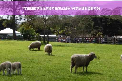 ?学信网的学历没有照片是怎么回事?开学历证明要照片吗
?