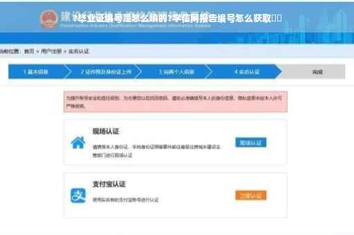 ?毕业证编号是怎么填的?学信网报告编号怎么获取⚡️