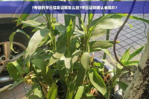 ?考研的学历信息证明怎么找?学历证明确认单图片?