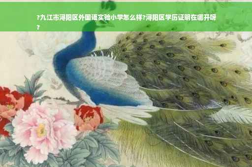 ?九江市浔阳区外国语实验小学怎么样?浔阳区学历证明在哪开呀
?