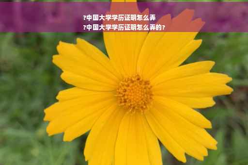 ?中国大学学历证明怎么弄
?中国大学学历证明怎么弄的?