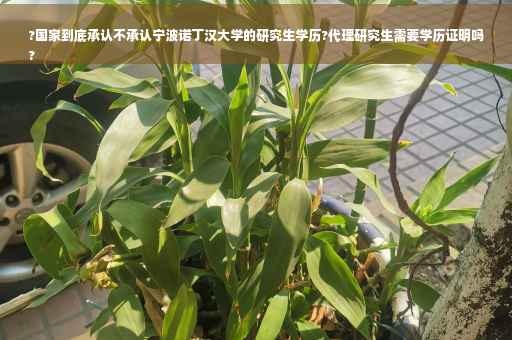 ?国家到底承认不承认宁波诺丁汉大学的研究生学历?代理研究生需要学历证明吗
?