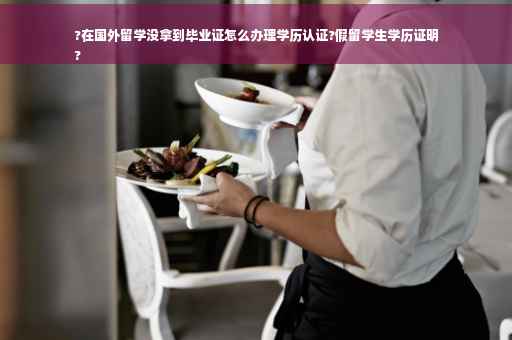 ?在国外留学没拿到毕业证怎么办理学历认证?假留学生学历证明
?