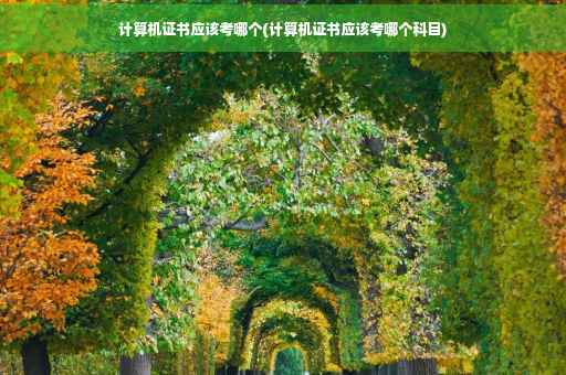 计算机证书应该考哪个(计算机证书应该考哪个科目)